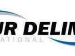 DELIMON潤滑泵資訊|便利的DELIMON潤滑泵深圳沃德爾流體技術