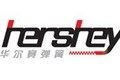 东莞华尔赛弹簧制造有限公司