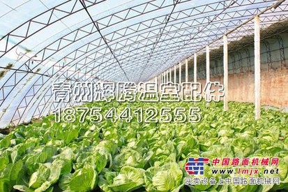 【告诉我！】【宁夏蔬菜温室大棚工程】【新疆蔬菜温室大棚施工】