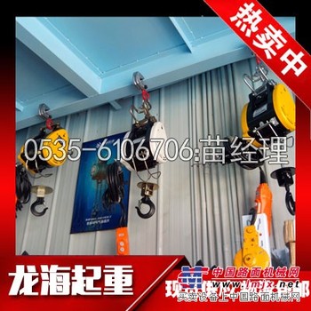 小金刚提升机DU-180A【载荷180kg】小金刚电动葫芦