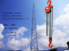 供应建筑爬架电动葫芦｜宇雕爬架电动葫芦