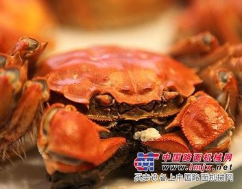 【新鲜水产】阜阳阳澄湖大闸蟹总代理|阜阳阳澄湖大闸蟹批发价