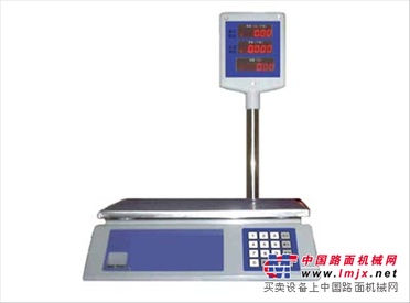 宿迁电子吊钩秤/临沂市亚星电子衡器