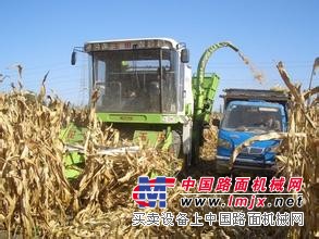 二手小型玉米青贮收获机厂/二手小型玉米青贮收获机价格