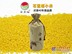 绿色有机小米|有机小米基地|有机小米批发-石匣峪小米