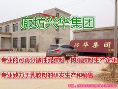河北哪里买好的外墙外保温抹面分散性胶粉 ：保温抹面砂浆胶粉低价出售