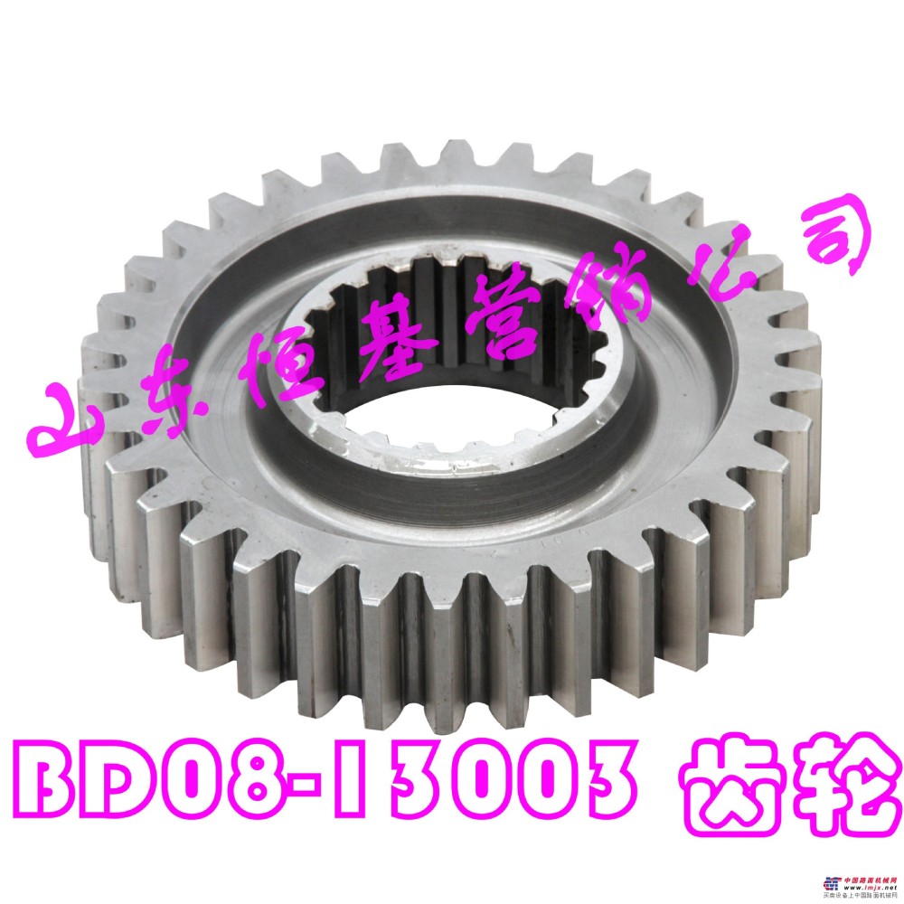 BD08-13003 齿轮  装载机配件 厂家直销 精致齿轮