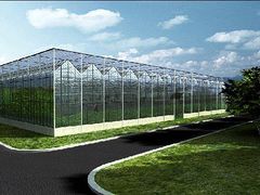 潍坊提供可信赖的玻璃板温室建造|潍坊玻璃板温室建造