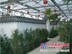 生态温室餐厅|山东靠谱的生态温室餐厅