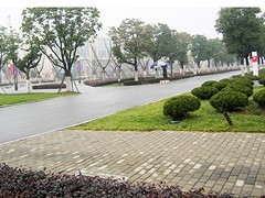 南宁的广西公路绿化工程公司，当属碧桂花木场_柳州公路绿化工程