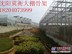要做大棚那里找，沈阳冀衡骨架真是好