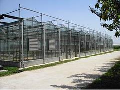 哪里的连栋温室口碑好——连栋温室价格范围