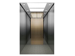 專業的乘客電梯當選迅電電梯 台州自動扶梯