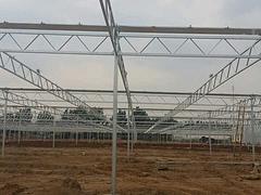 阳光板温室建造|潍坊价格合理的连栋温室供应