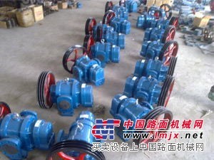 供应不锈钢高粘度罗茨泵厂家直销质优价廉