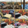 卡特390二手挖掘机出售厂家直销价格合理包运到工地