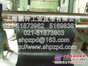 供应上海市真空过滤机输送带质量保证_特种过滤机运输带微利批发
