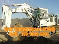 贵州毕节挖掘机燃油泵检测方法