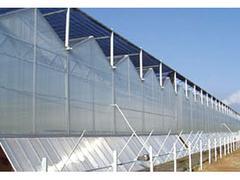 山东信誉好的阳光板温室工程推荐 河北阳光板温室工程