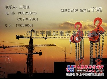 DHP电动葫芦生产_厂家宇雕直销安全可靠_河北宇雕_