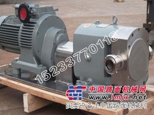 广东不锈钢转子泵经销商