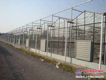 德州智能控制温室 专业的智能控制温室搭建盛腾温室工程提供