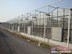 德州智能控制温室 专业的智能控制温室搭建盛腾温室工程提供