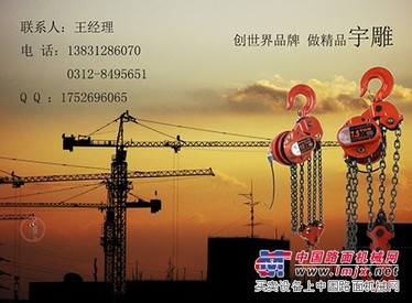 爬架电动葫芦生产企业_宇雕直销安全先行_河北宇雕