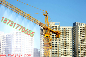 厂家直销建筑工程环保TDPL-150型塔吊喷淋设备