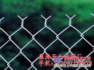 衡水提供质量好的菱形勾花网——大庆勾花网
