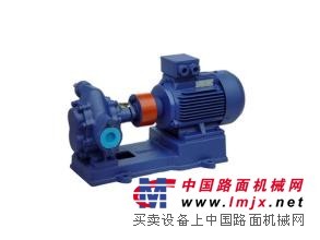先进工艺制造好产品kcb不锈钢齿轮泵泰盛供应