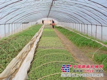 蔬菜防虫网超值价格怎样？山西厂家铭湾聚实惠