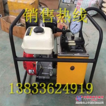 供应优质机动泵 超高压液压机动泵 汽油机动泵 质量保证。