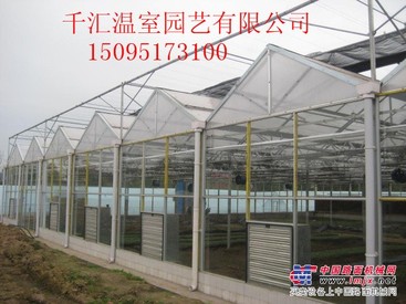 寿光温室大棚 报价合理的智能温室大棚哪里有