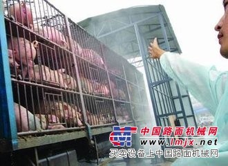 新又鲜畜禽生猪屠宰价格：防城港生猪屠宰