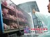 新又鲜畜禽生猪屠宰价格：防城港生猪屠宰