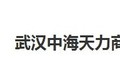 武汉中海天力商贸有限公司