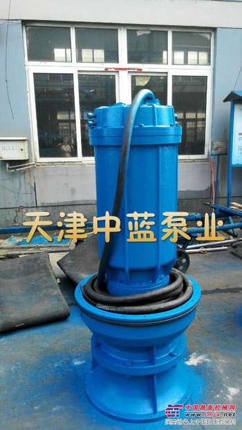 600QZB潜水轴流泵