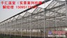 报价合理的蔬菜大棚推荐|蔬菜大棚建设