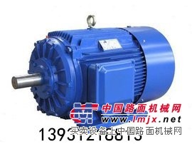 工業用11千瓦Y系列三相電動機/河北泉力