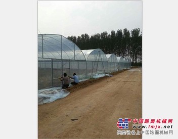 山东优质的拱棚建设推荐：寿光拱棚建设