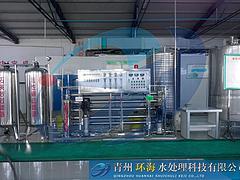 环海水处理2吨双级反渗透设备怎么样，中国双级反渗透设备