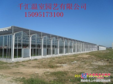 智能温室大棚公司 效果好的智能温室大棚推荐