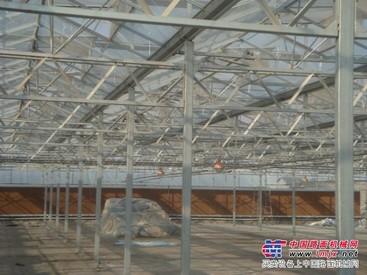 可靠的寿光智能温室建设实时资讯_承建智能温室