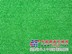 合肥他人造草坪|合肥他人造草坪价格【优质低价】合肥他人造草坪哪家好