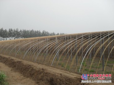 当今的有主柱日光温室大棚搭建行情 有主柱日光温室搭建