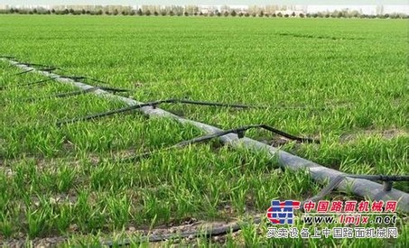 大田滴灌带：双利滴灌带大田滴灌带怎么样