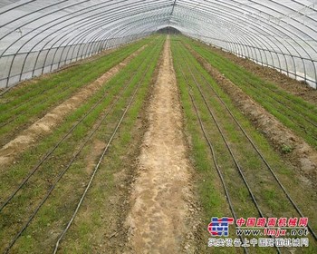 双利滴灌带提供好的滴灌带|滴灌带多少钱