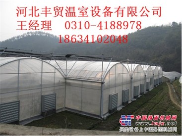 天津薄膜智能温室/丰贸温室设备