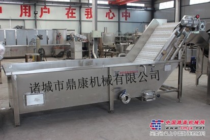 果蔬全自动气泡清洗机/诸城鼎康机械